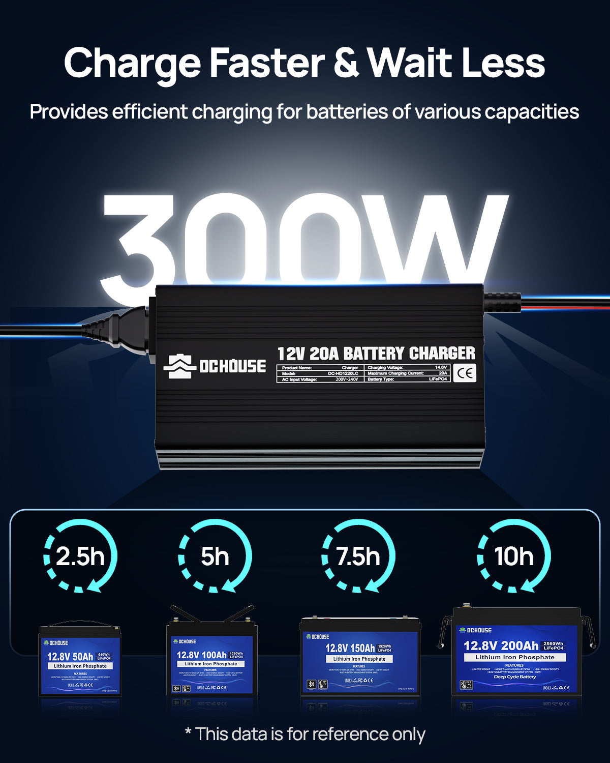 12V 20A AC-to-DC LiFePO4 Portable Battery Charger