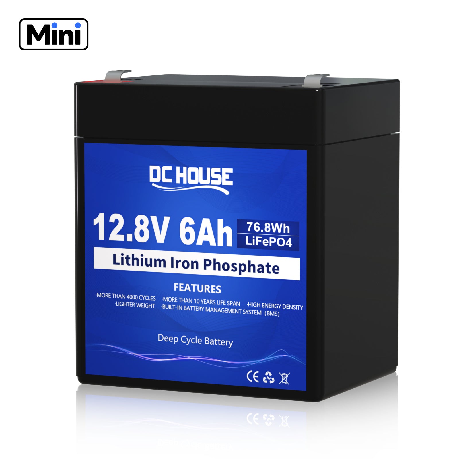 12V 6Ah Deep Cycle LiFePO4 Lithium Battery