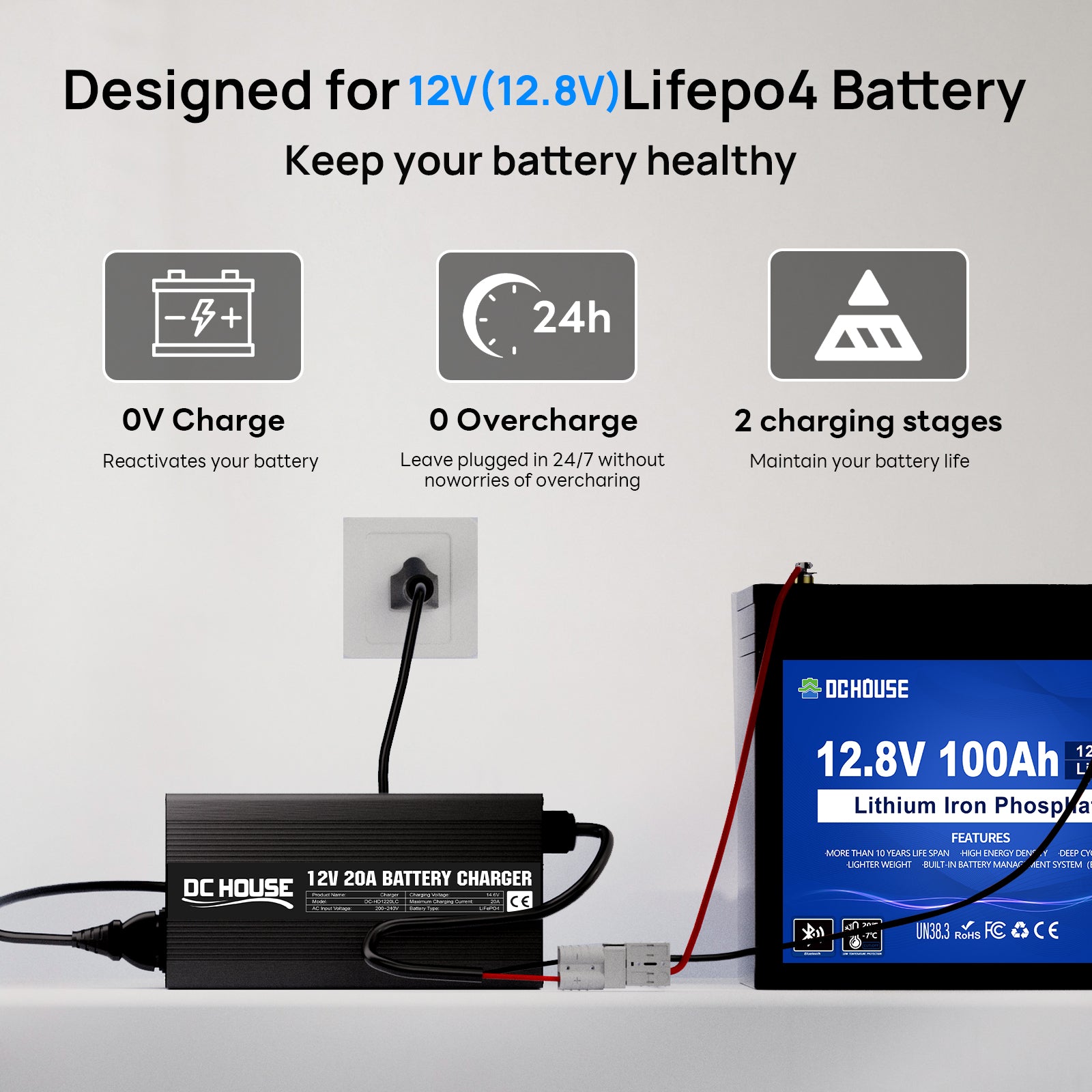 12V 20A AC-to-DC LiFePO4 Portable Battery Charger