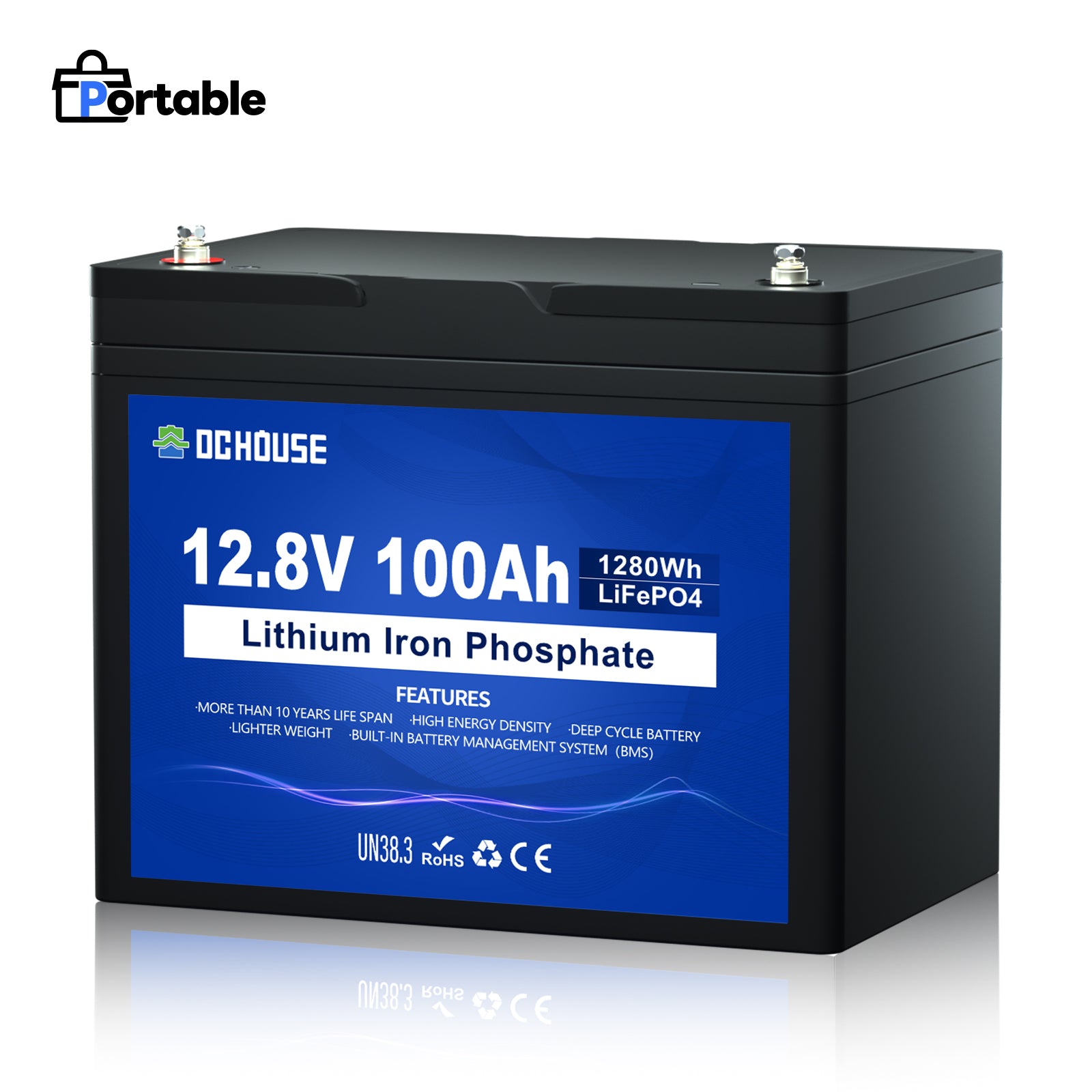 12V 100Ah Deep Cycle LiFePO4 Lithium Battery