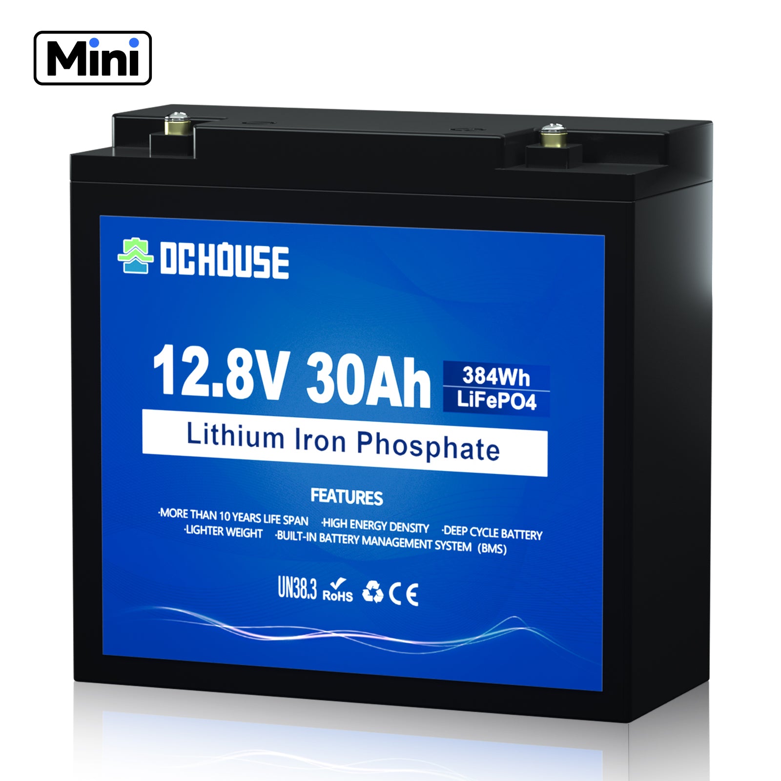 12V 30Ah Deep Cycle LiFePO4 Lithium Battery